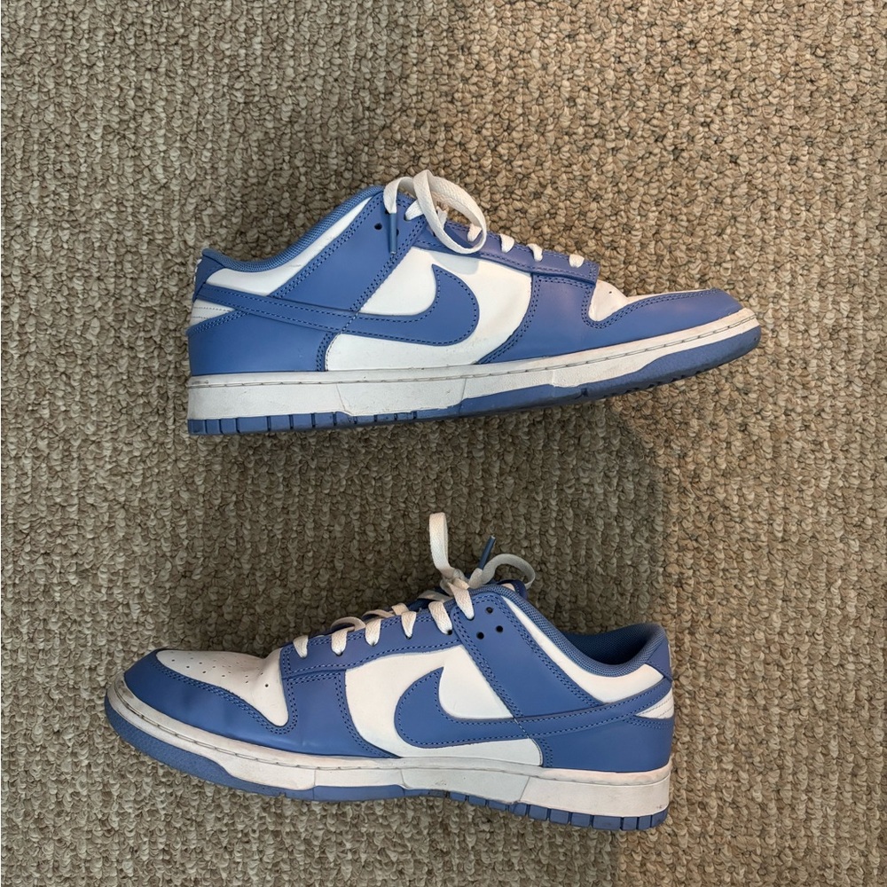 Polar Blue Dunks